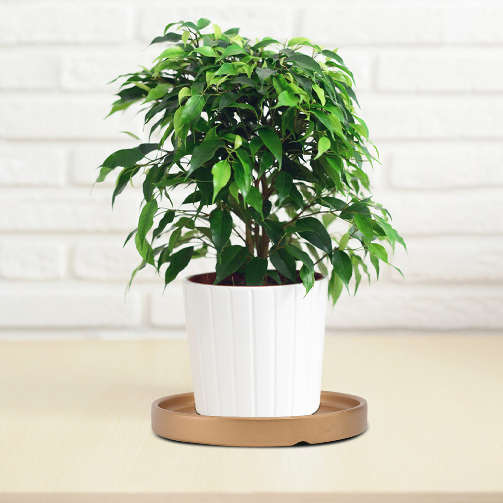 3Pcs Flower Pot Saucer Ceramic - Drip Tray Saucer review and price