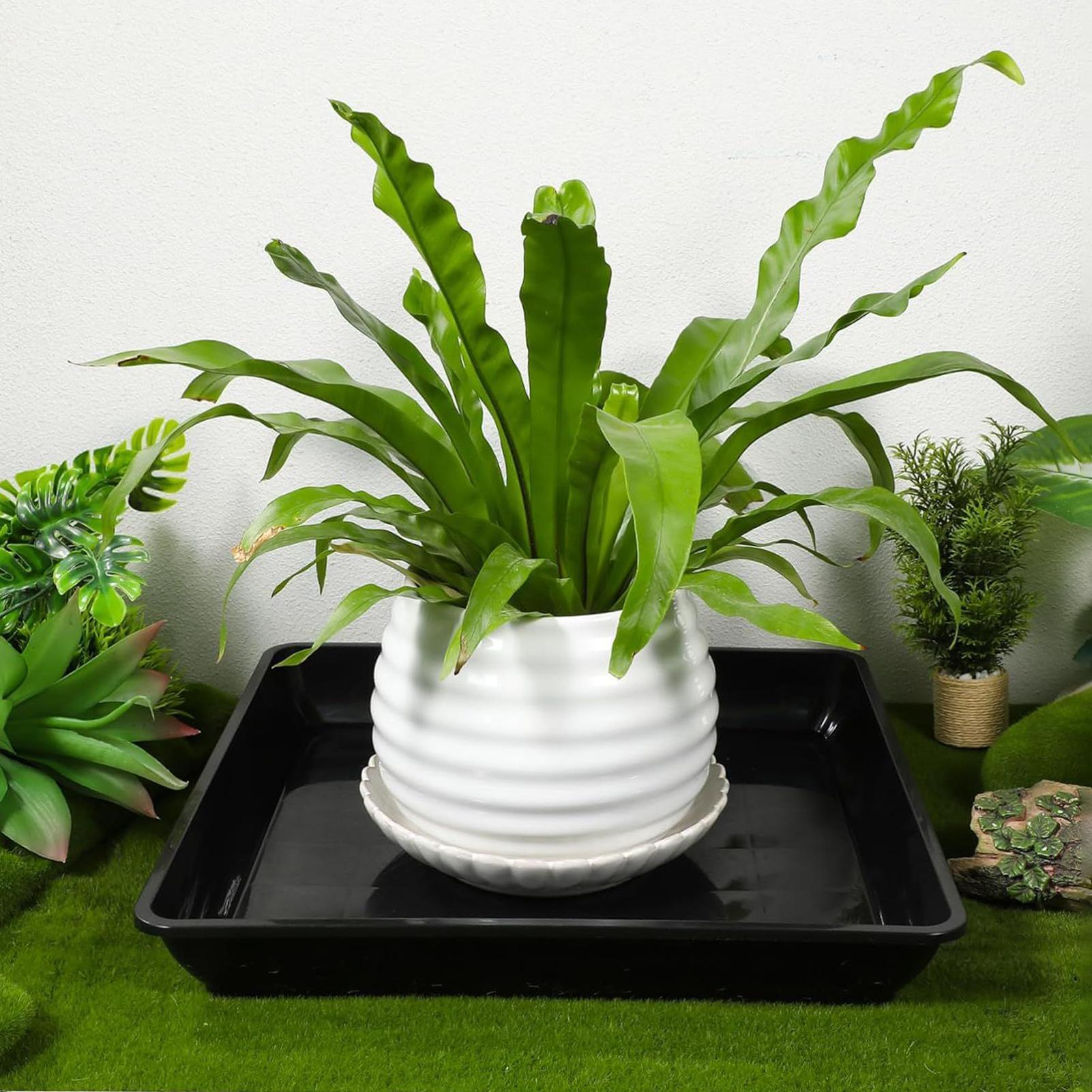 2 Pcs Flower Pot Base Thickene - Drip Tray Saucer review and price