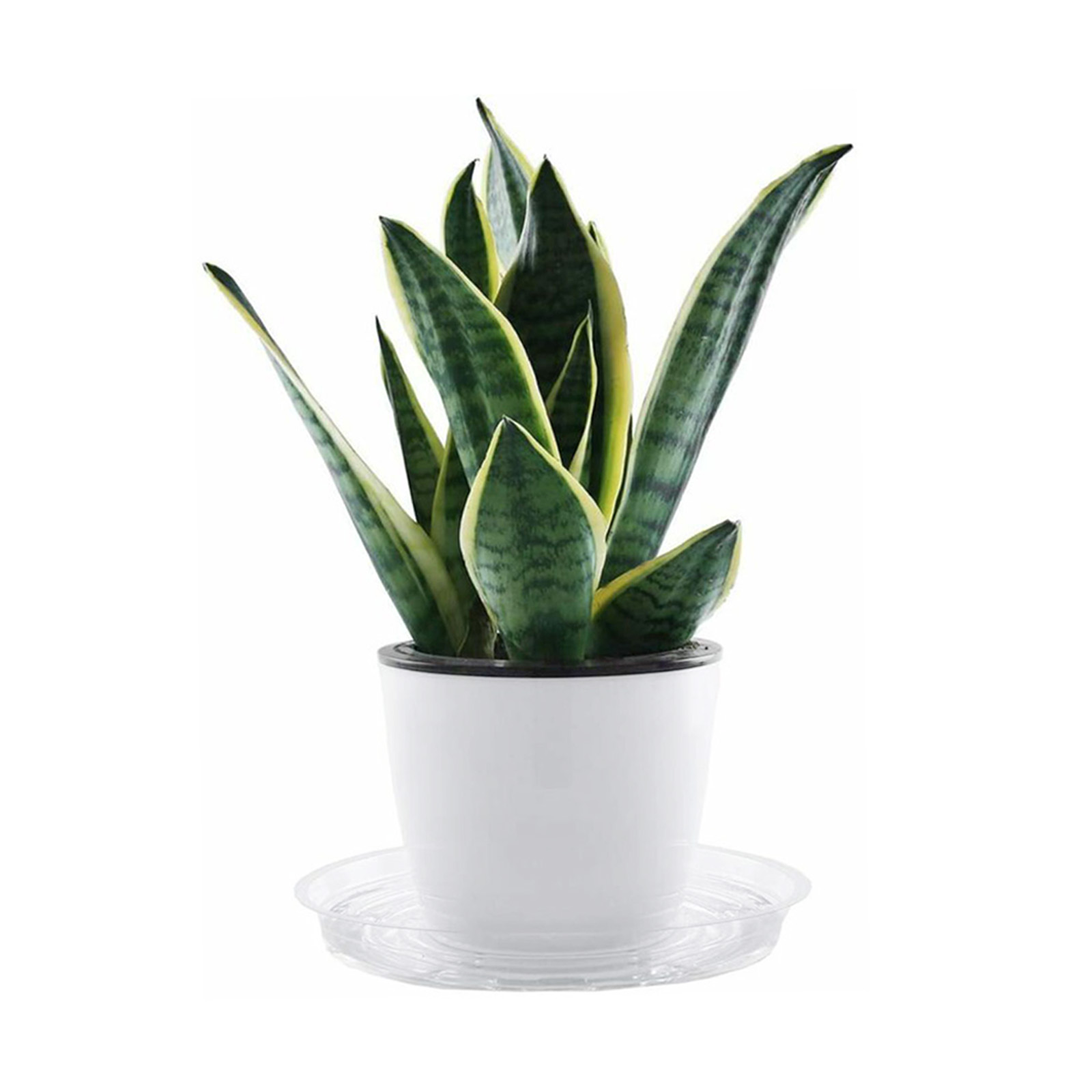 10pc Garden Plant Saucer Drip  - Drip Tray Saucer review and price