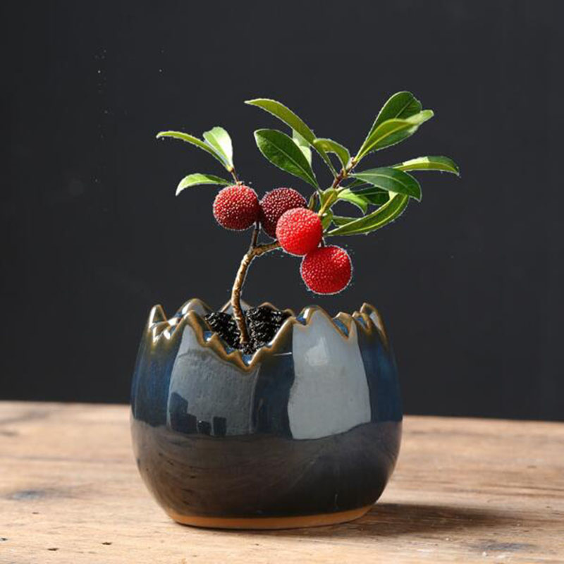 Kiln Transmutation Glazed Eggs - Bonsai Garden Art review and price